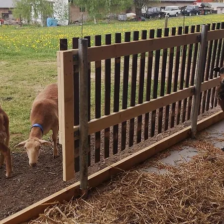 Windmuehlenhof Konukevi