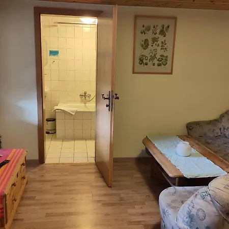 Windmuehlenhof Guest house *