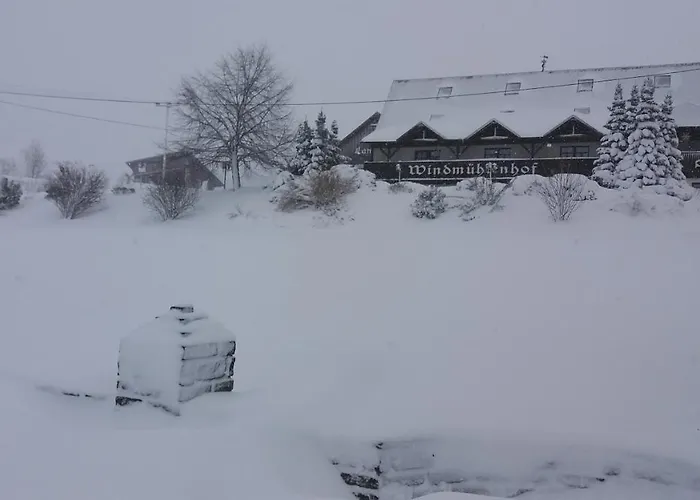 Windmuehlenhof * Dittmannsdorf (Olbernhau)